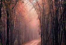 [欧冠]基米希传射助攻 科曼停球推射破门.