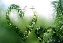 每体：拉菲尼亚阿劳霍周三晚回到巴塞罗那，预计会进补赛名单.