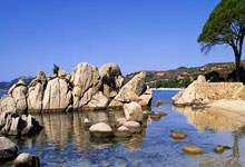 一鸣惊人！23岁阿尔马达法甲近2场1球2助，国家队轰世界波.